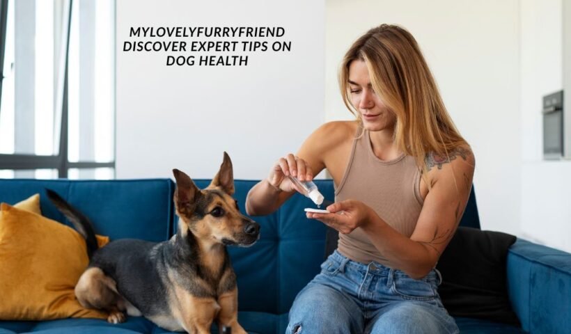 MyLovelyFurryFriend Discover Expert Tips on Dog Health