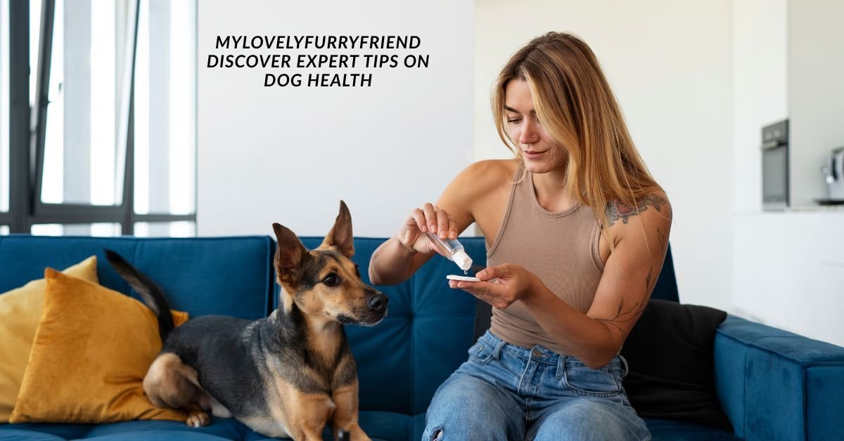 MyLovelyFurryFriend Discover Expert Tips on Dog Health